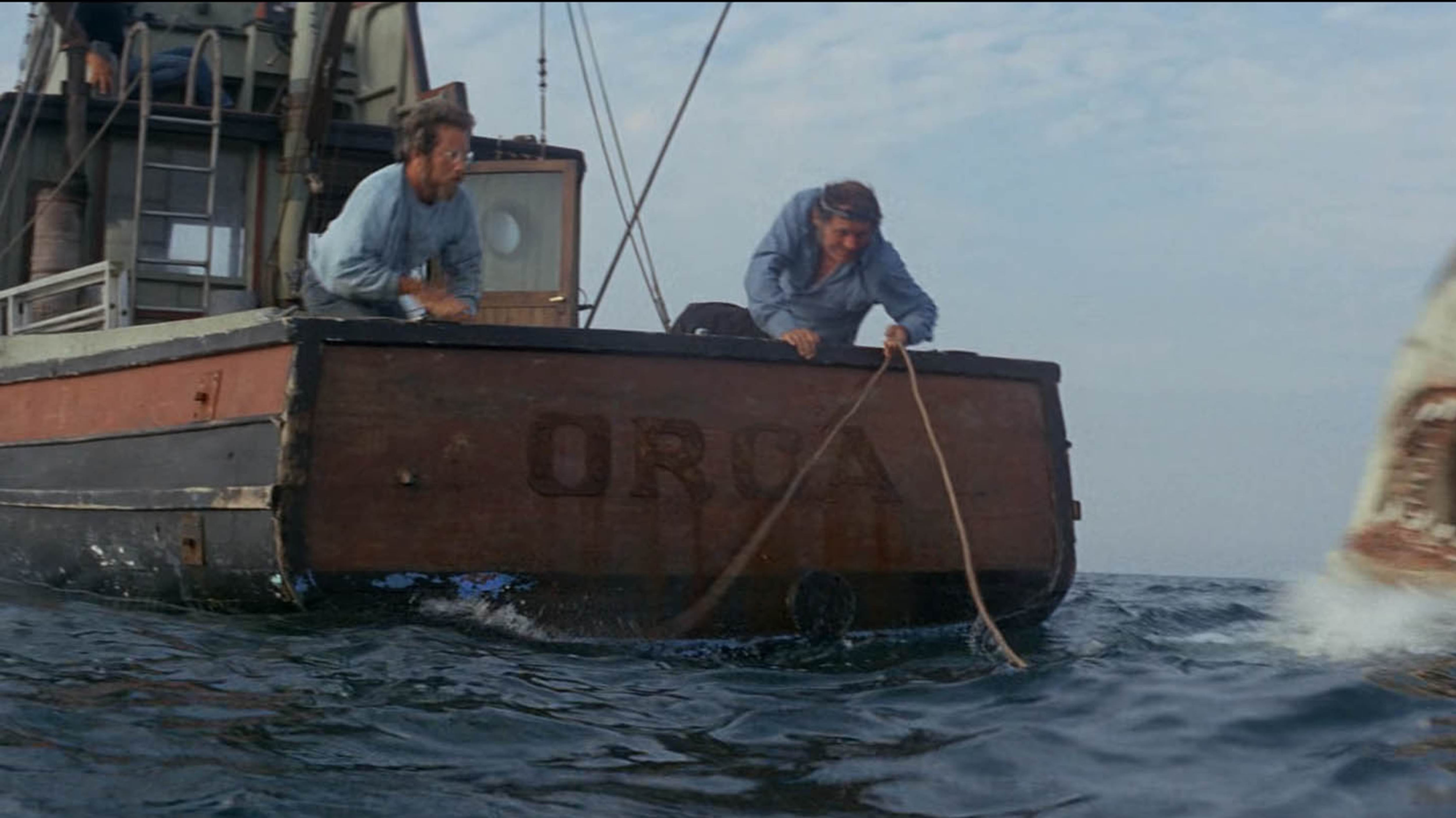 "Ora gli squali hanno una cattiva reputazione". E James Cameron se al prende con Spielberg per gli squali