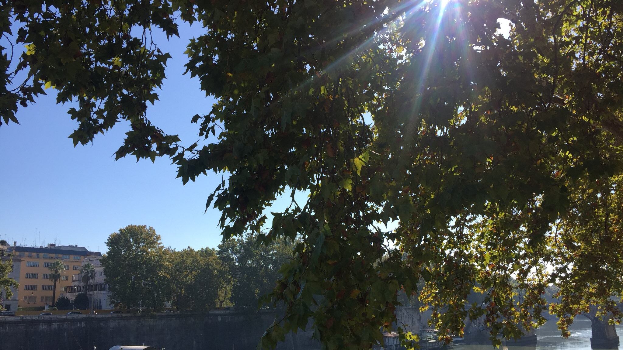 Bel tempo e temperature in aumento: fino a quando durerà l'Ottobrata