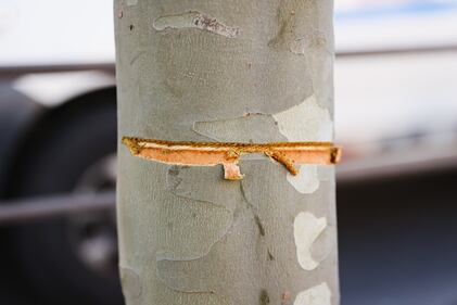 Milano, cavo teso in viale Toscana: le immagini choc 9