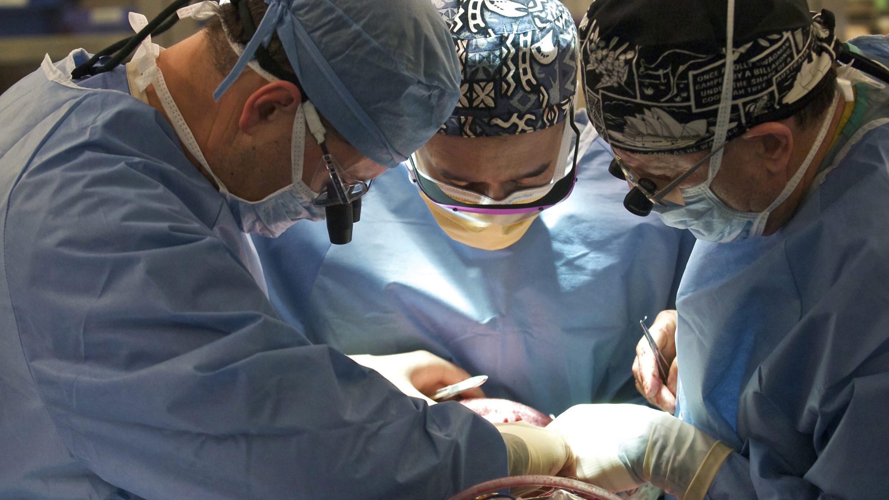 Trapiantati e «resuscitati» tre cuori fermi