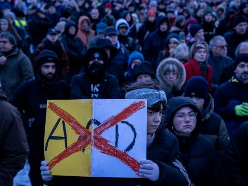 Per la Germania Afd resta "eversiva". "È giusto che i servizi la sorveglino"