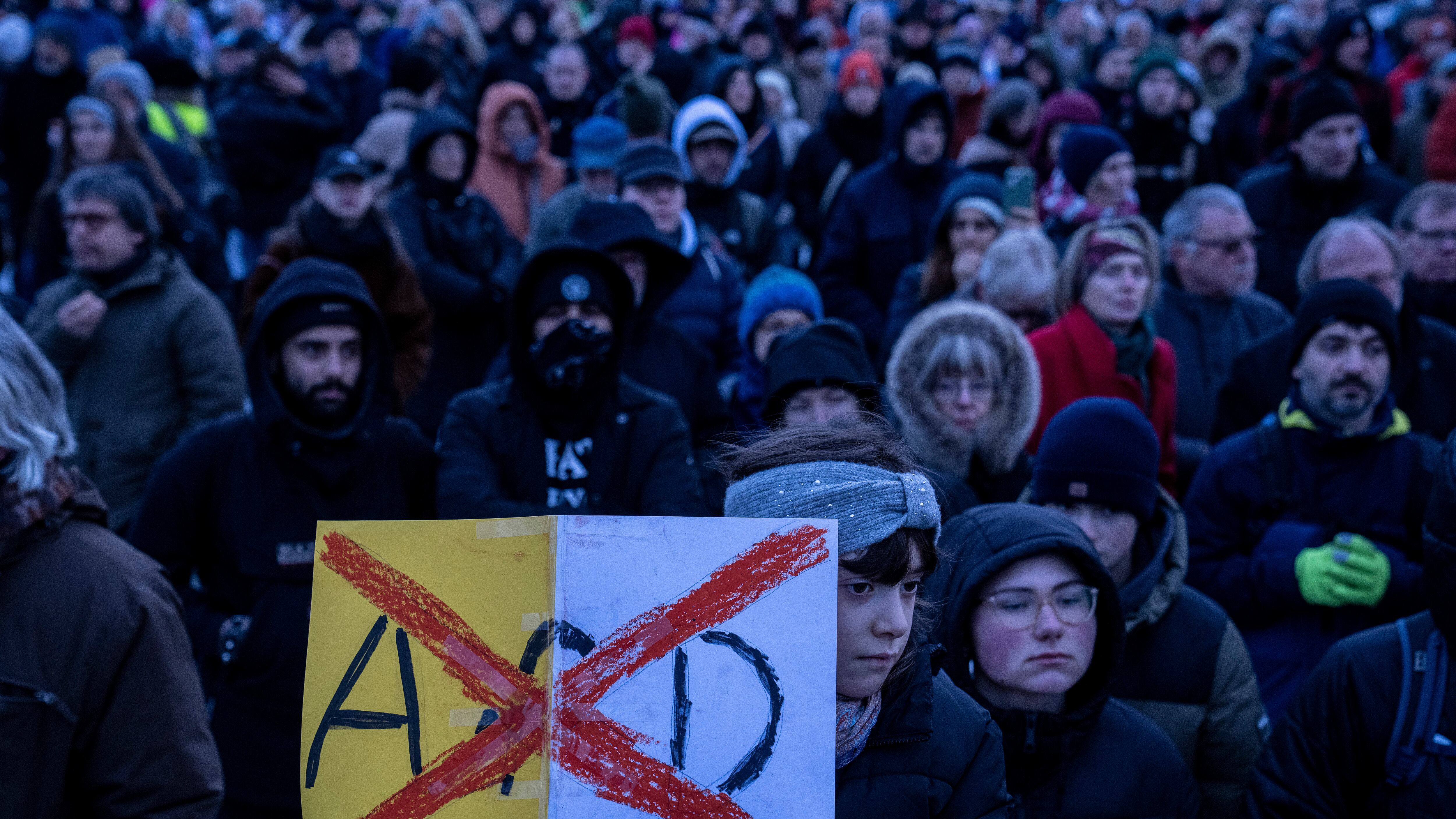 Per la Germania Afd resta "eversiva". "È giusto che i servizi la sorveglino"