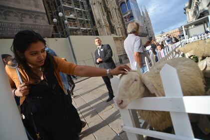 Piazza del Duomo invasa dalle pecore 15