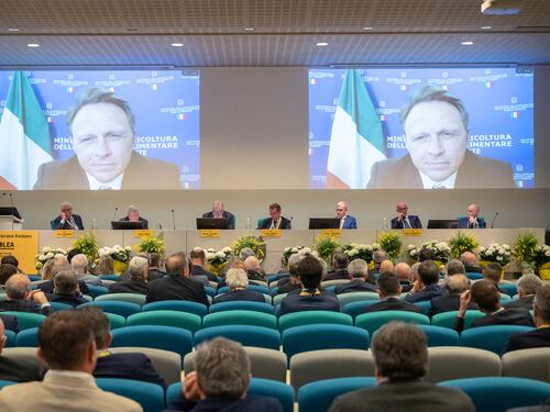 Grana Padano DOP, consumi ed export in crescita All’estero va oltre il 50% della produzione