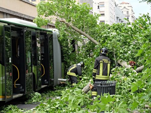Milano, albero cade sull'autobus