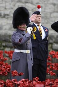 Torre di Londra, il campo di papaveri per l'"Armistice Day" 2