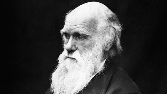 Darwin Day: oggi il mondo celebra il padre della teoria dell'evoluzione