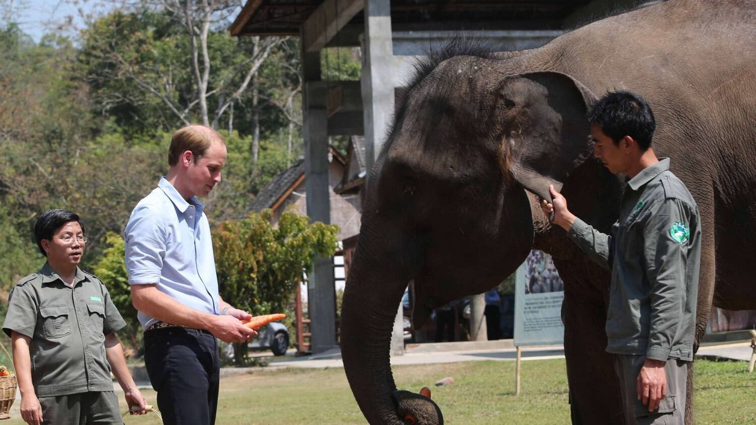 La gaffe del principe William che imbarazza la casa reale