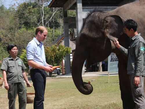 La gaffe del principe William che imbarazza la casa reale