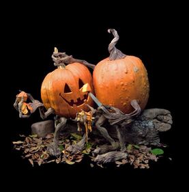 Halloween si avvicina, ecco le zucche intagliate ad arte 3