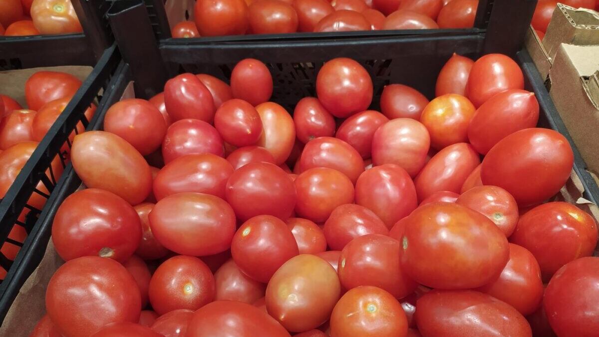 La Bbc contro i pomodori "italiani" coltivati e raccolti in Cina