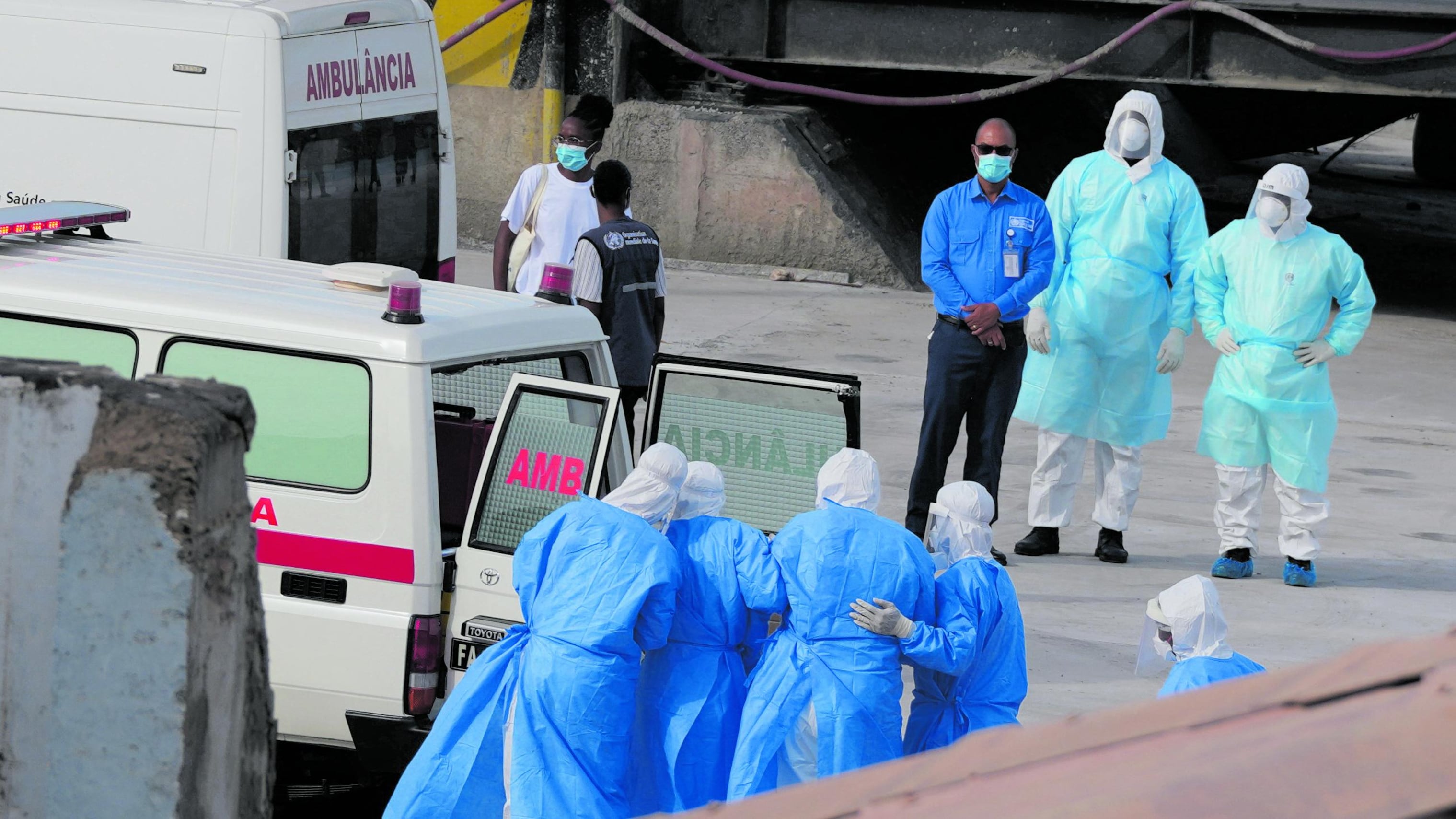 Esiste un vaccino? Cani e gatti possono trasmettere il virus? Come posso proteggermi? Domande e risposte sull’Hantavirus