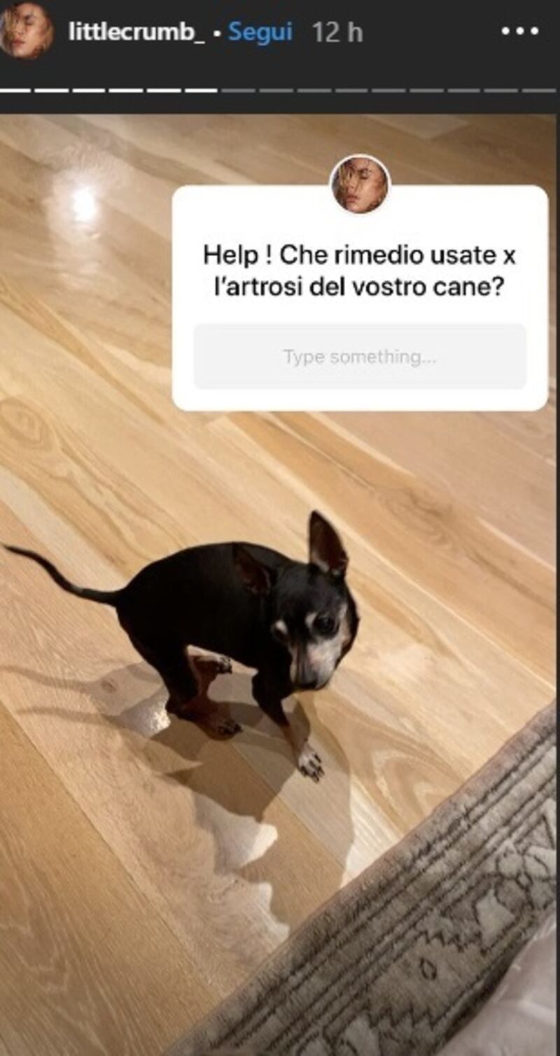 Elisabetta Canalis social