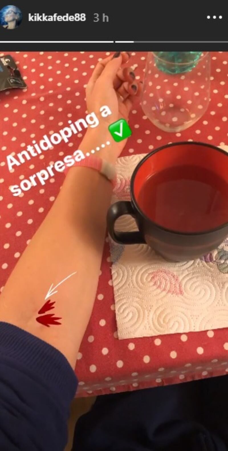 Federica Pellegrini social