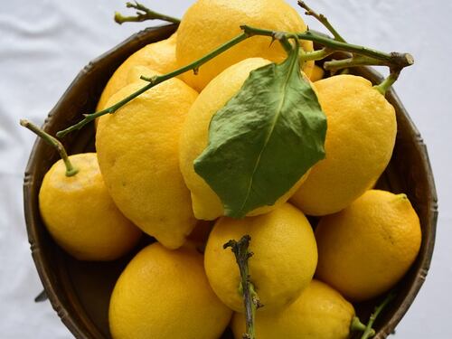 Cedro: fonte di vitamina A e C è l'agrume per eccellenza in autunno
