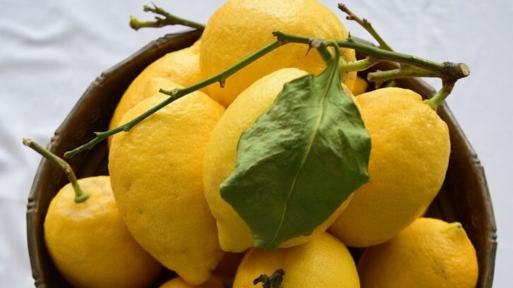 Cedro: fonte di vitamina A e C è l'agrume per eccellenza in autunno