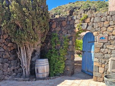 Mare, vigneti e tradizioni: il tesoro di Pantelleria 4