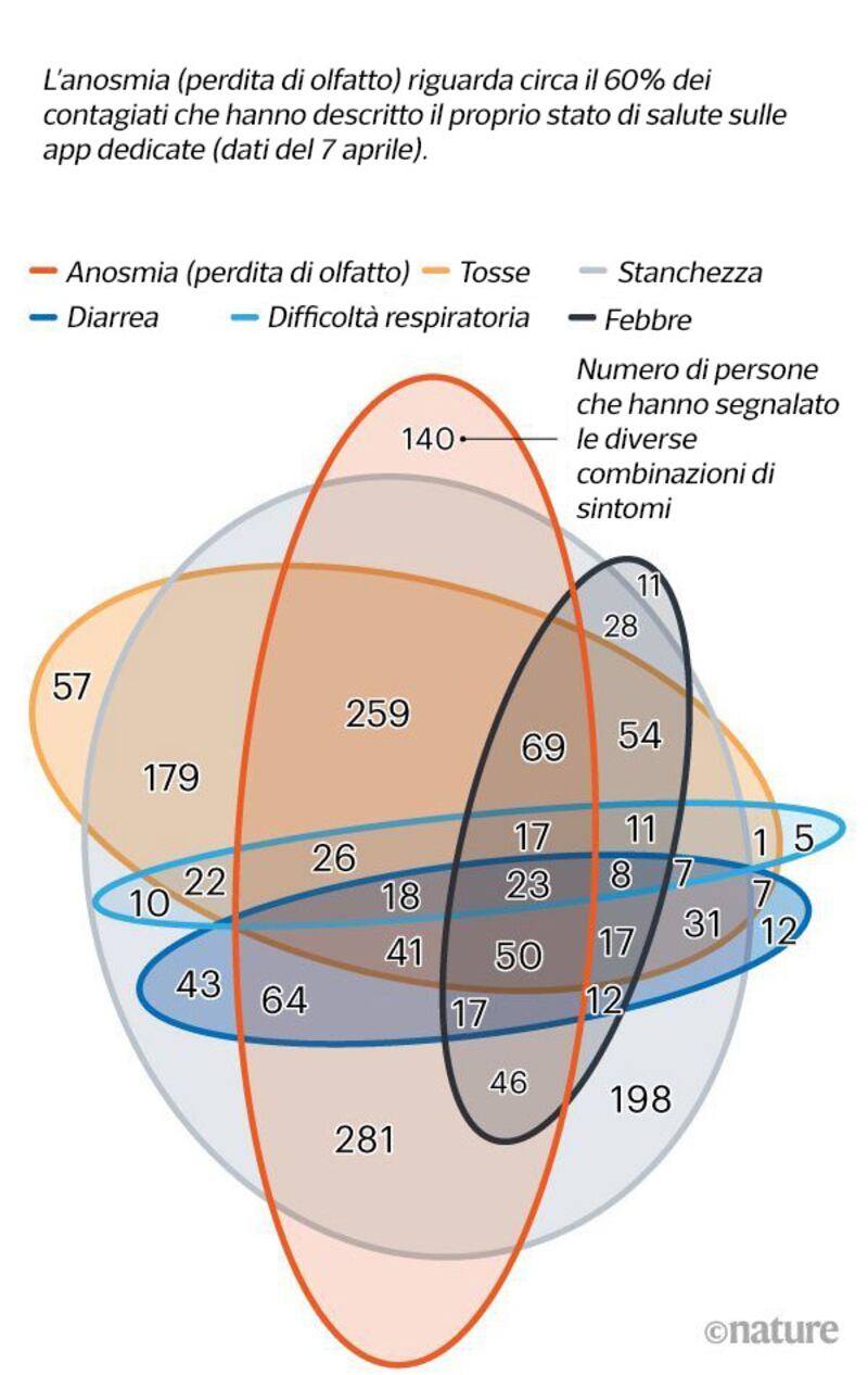 grafico olfatto