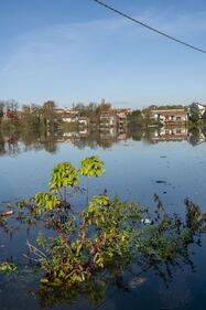 Il Ticino esonda a Pavia 13