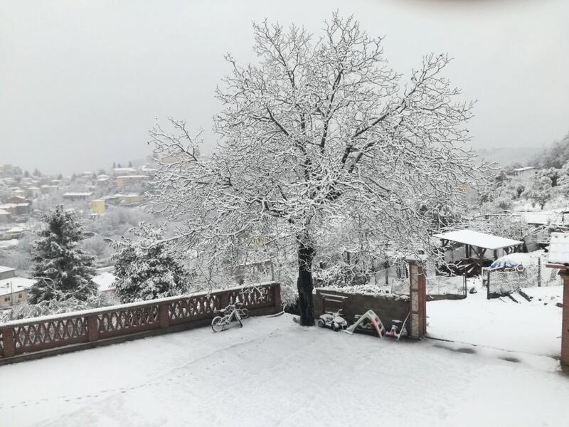 L'ultima ondata di gelo del 2017 2