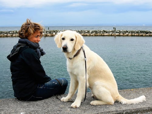 Accudire un cane riduce il rischio di morte