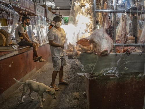 L'Onu chiede la chiusura dei wet market. Gli animalisti: "Epicentro delle epidemie"