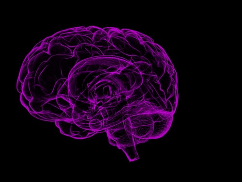 "Nel nostro cervello c'è una farmacia nascosta"