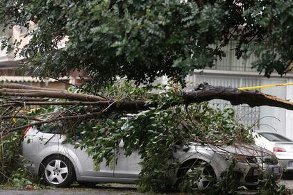 Maltempo a Roma, alberi caduti in tutta la città 2