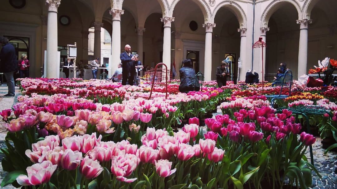Una domenica a palazzo