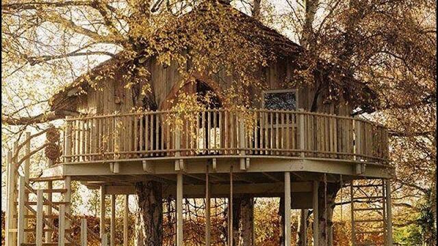 Chic, ecologica e no-Imu: ecco la casa sull'albero