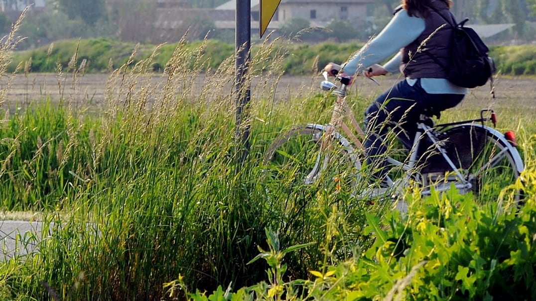 Bari, bonus da 25 euro per chi usa la bicicletta nel tragitto casa-lavoro