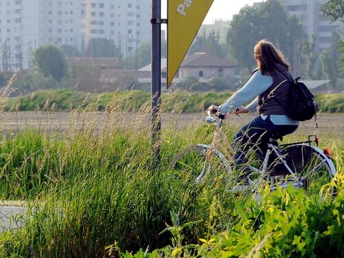 Bari, bonus da 25 euro per chi usa la bicicletta nel tragitto casa-lavoro
