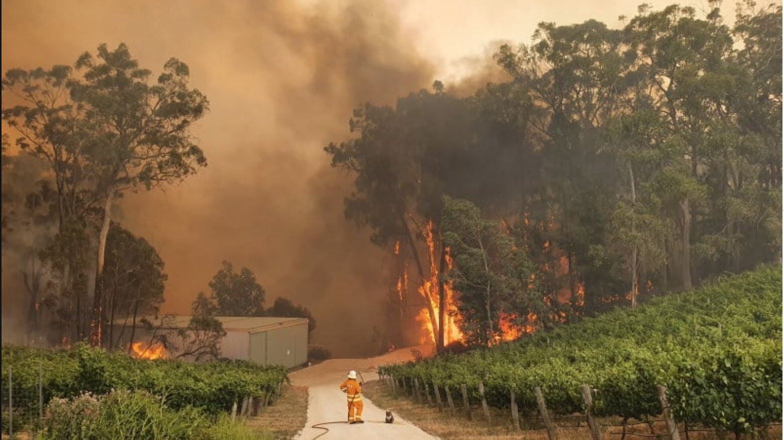 Australia, ancora emergenza incendi. Evacuate migliaia di persone