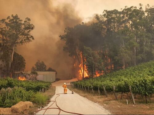 Australia, ancora emergenza incendi. Evacuate migliaia di persone