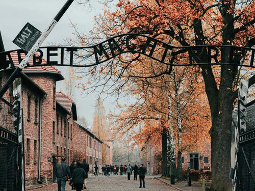 Quelle "gite" usate come anestetico e il nuovo veleno dell'antisemitismo