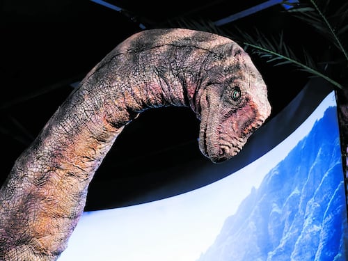 Viaggio a ritroso nel tempo con i dinosauri interattivi