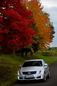 Cadillac ATS 16