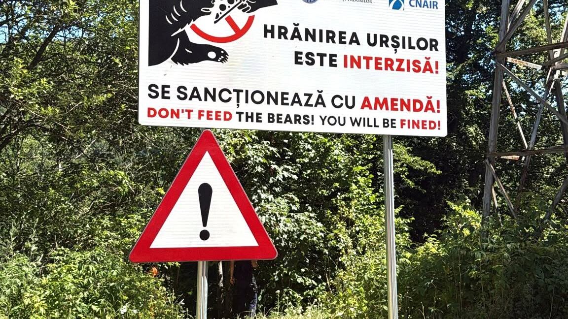 Motociclista italiano trascinato nel bosco e ucciso da un orso in Romania: cosa è successo