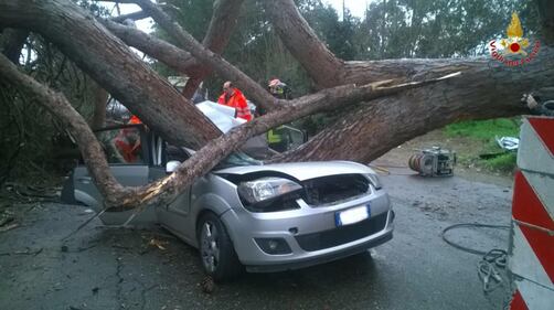Maltempo a Roma, cade albero su auto 2