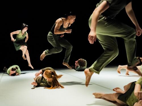 Flamenco, AI e live al buio. "Con Fog si gira il mondo"