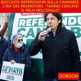 La satira del giorno. No alla cannabis 1