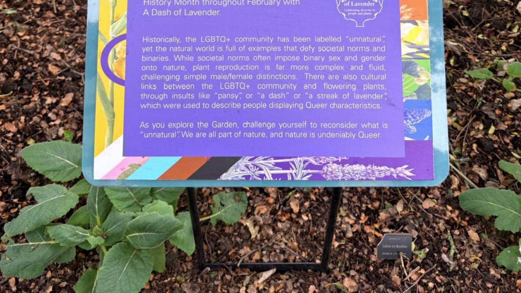 L'ideologia woke arriva anche tra fiori e alberi: ecco l'ecologia queer con le piante Lgbt