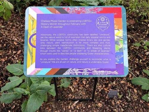 L'ideologia woke arriva anche tra fiori e alberi: ecco l'ecologia queer con le piante Lgbt