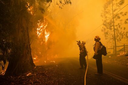 Gli incendi in California 9