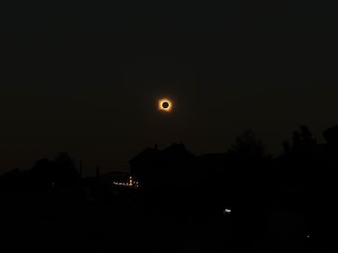 Lo spettacolo nel cielo con l'eclissi solare