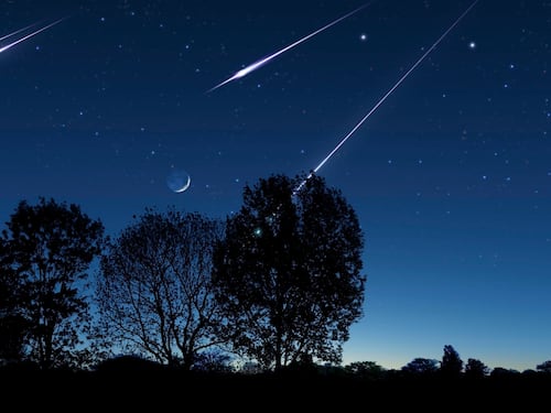 Coppia di ventenni si "imbosca" per vedere stelle cadenti e si perde in collina