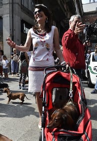 La "Sausage Walk" a Milano: sfilano i bassotti 8