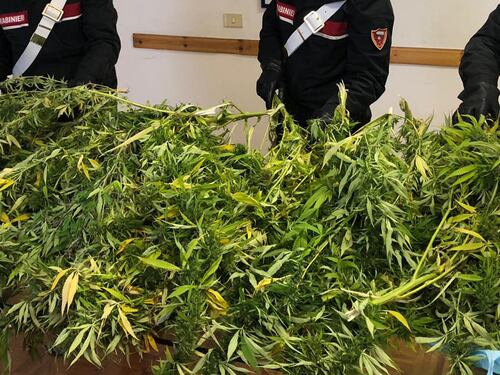 Sullo scooter con due sacchi pieni di marijuana