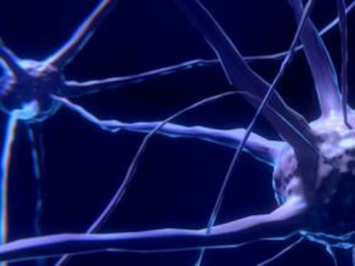 Autismo, un marker neurale per la diagnosi precoce
