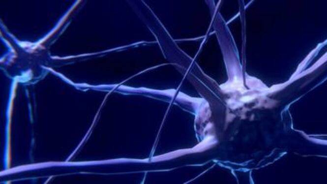Autismo, un marker neurale per la diagnosi precoce